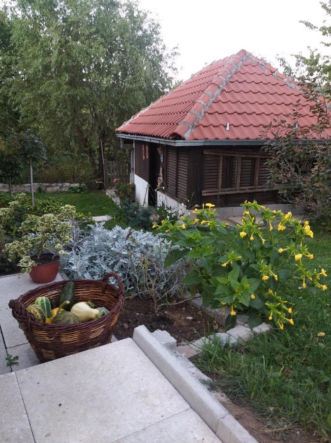 Apartman Civovic Rudnik Buitenkant foto