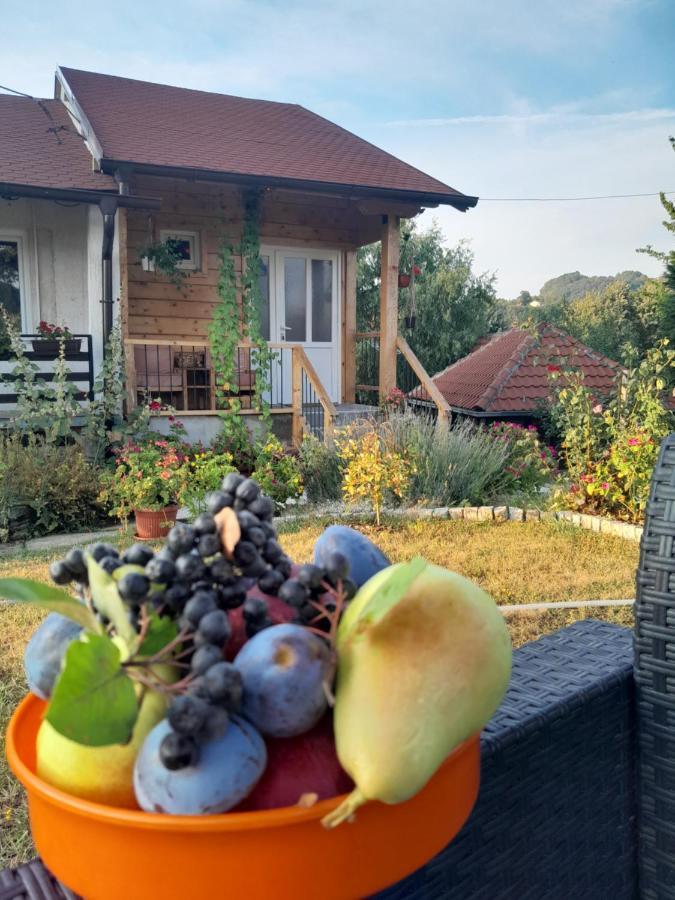 Apartman Civovic Rudnik Buitenkant foto